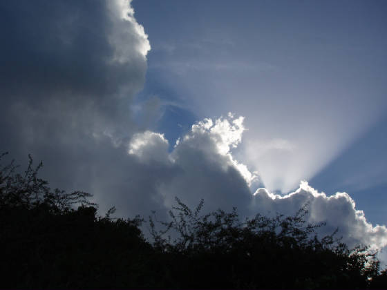 PC120024.jpg