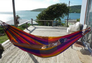 HousePix/hammock.jpg