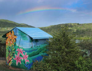 HousePix/rainbow_shed.jpg