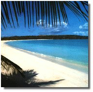 beach.jpg